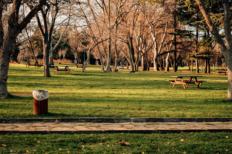 A public park scene featuring a well-maintained grassy area with several wooden picnic tables evenly spaced among tall, leafless trees that have light brown bark and branches extending overhead. In the foreground, there is a brown cylindrical trash bin with vertical grooves, lined with a white plastic bag, positioned on a paved pathway made of concrete or stone slabs. The background shows additional trees and park features under natural daylight with soft shadows cast across the scene, creating a calm and tidy environment. The overall setting suggests a clean outdoor space that could be associated with community upkeep or private park management, aligning subtly with services such as rubbish removal or on-site clearance handled by companies like Rubbish Clearance Ilford.