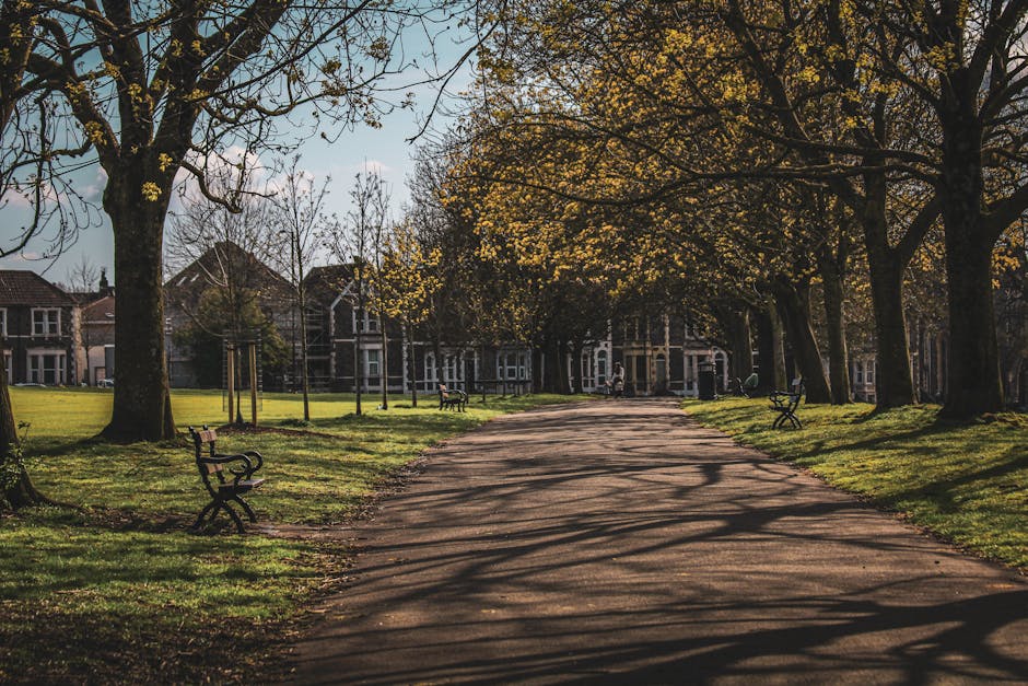 A paved pathway in a park during daytime, flanked by large deciduous trees with yellowing leaves casting shadows across the ground. Several benches with black metal frames and wooden slats are positioned along the grass-edged sides of the path. In the background, residential buildings with brick facades and pitched roofs are partially visible behind the trees, indicating an urban or suburban setting. The sky is partly cloudy, with patches of blue sky visible through the branches. The overall scene suggests a peaceful, well-maintained urban park area that could be a location for on-site rubbish removal or casual waste disposal, supported by the presence of open grassy areas and accessible pathways, which are often associated with community or private rubbish clearance activities, possibly conducted by local waste management or independent clearance services such as Rubbish Clearance Ilford.